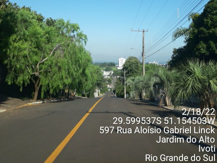 Rua com espécies diferentes